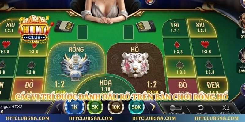 Rồng Hổ Hitclub - Tổng Quan Game Bài Đối Kháng Hấp Dẫn 3 Các vị trí được đánh dấu rõ trên bàn chơi rồng hổ Hitclub